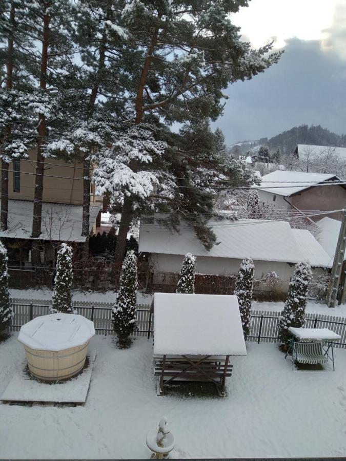 Pensiunea Mariana บราน ภายนอก รูปภาพ